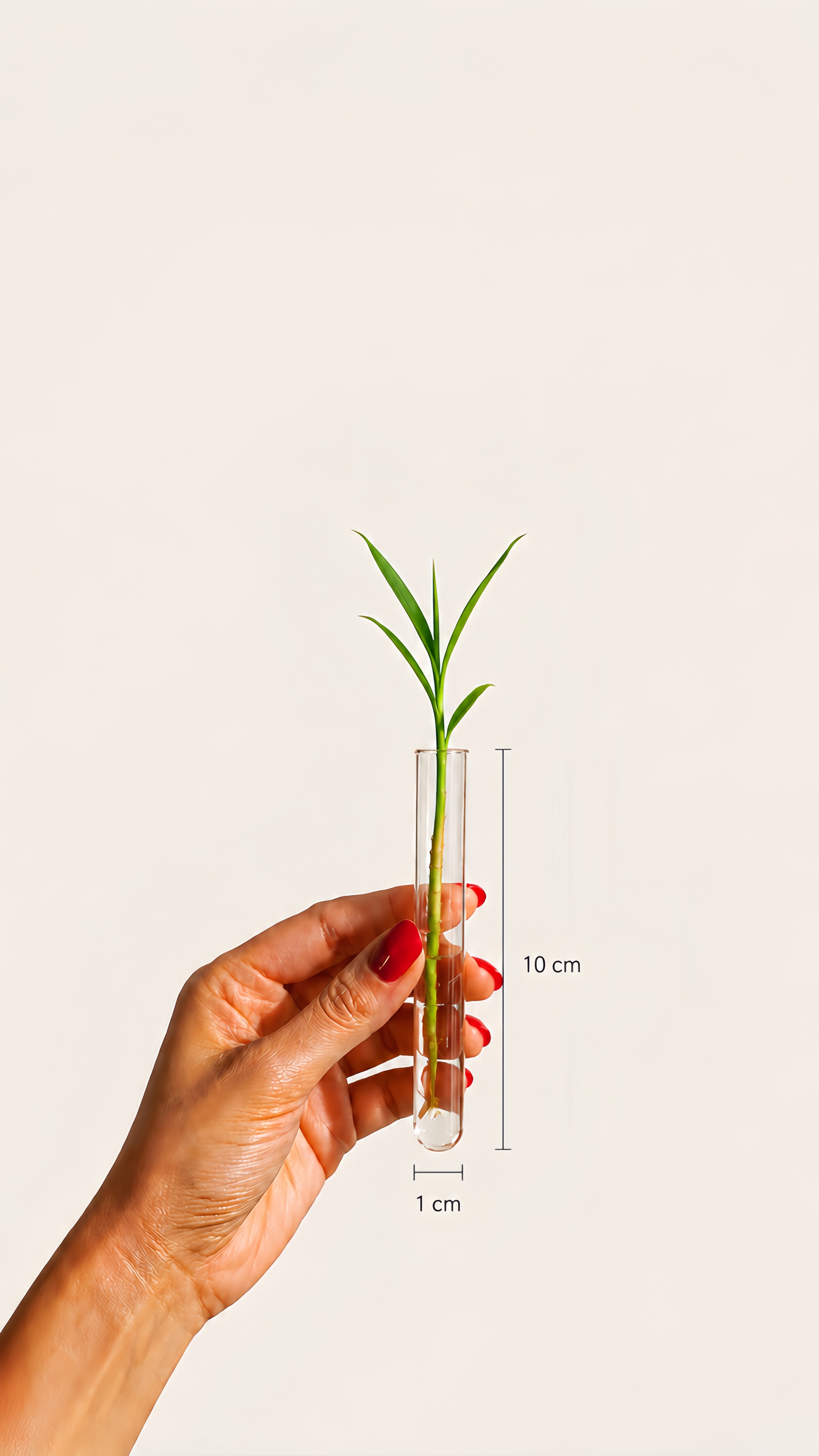 PortaFloral™ | Minimal Magnetic Floral Decor organic
